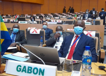 La délégation gabonaise présente à la 14ème session ordinaire du Comité technique sur la Défense, la Sûreté et la Sécurité